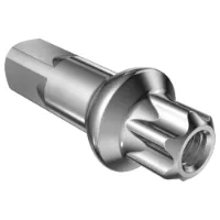 DT Swiss Squorx Pro Head Anodized Fahrradnippel 100 Einheiten DT Swiss Squorx Pro Head Anodized Fahrradnippel 100 Einheiten