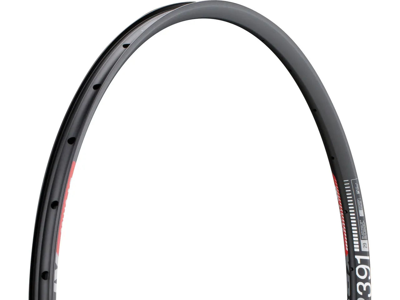 DT Swiss XR 391 Disc 29" Felge DT Swiss XR 391 Disc 29" Felge