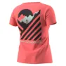 Dynafit 24/7 Graphic Kurzarm-t-shirt, Cabana / striped elevation
