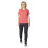 Dynafit 24/7 Graphic Kurzarm-t-shirt, Cabana / striped elevation