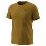 Dynafit 24/7 Graphic Kurzarm-t-shirt