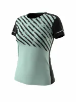 Dynafit Alpine 2 Kurzarm-t-shirt Dynafit Alpine 2 Kurzarm-t-shirt