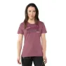 Dynafit Graphic Kurzarm-t-shirt