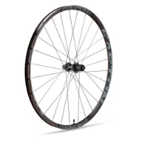 Easton Ea70 Ax Disc Tubeless Rennrad-hinterrad Easton Ea70 Ax Disc Tubeless Rennrad-hinterrad