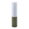 Easy Lupin Stringlight Lampe, Green, 260 Lumina