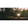 Easy Polar Willow Lampe, Green, 200 Lumina