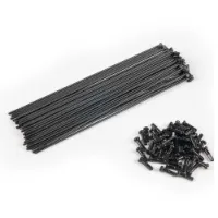 Eclat Pg Speichen Und Nippel Kit 40 Einheiten Eclat Pg Speichen Und Nippel Kit 40 Einheiten