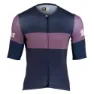 Dark blue / merlot
