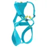 Icemint 1