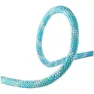 Icemint 1