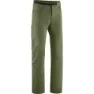 Alga green 1