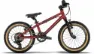 EIGHTSHOT COADY 16 SL groovy red 16" Diamant