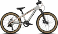 EIGHTSHOT COADY 20 DISC grey 20" Diamant