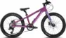 EIGHTSHOT COADY 20 SL DISC flat violet 20" Diamant