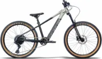 EIGHTSHOT LOAMER 24 black/grey 24" 250 Wh Diamant