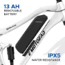 Emotorad Emx+ 29´´ Elektrische Mountainbike