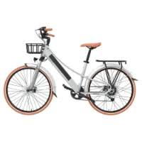 Emotorad Plymouth Elektrofahrrad Emotorad Plymouth Elektrofahrrad