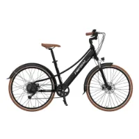 Emotorad Plymouth Elektrofahrrad Emotorad Plymouth Elektrofahrrad