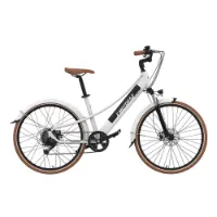 Emotorad Plymouth Elektrofahrrad Emotorad Plymouth Elektrofahrrad
