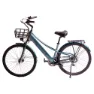 Emotorad Plymouth Elektrofahrrad