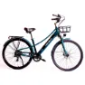 Emotorad Plymouth Elektrofahrrad