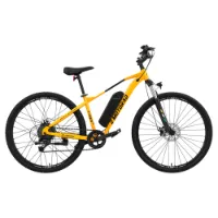 Emotorad T Rex Elektrofahrrad Emotorad T Rex Elektrofahrrad