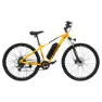 Emotorad T Rex Elektrofahrrad