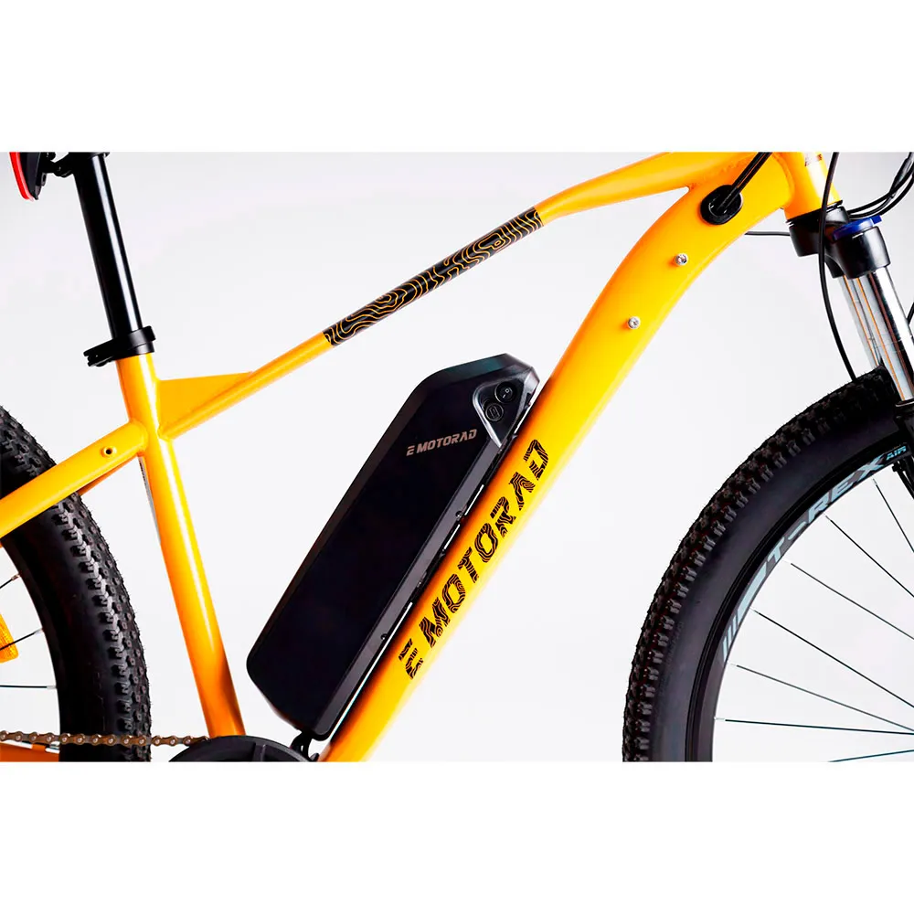 Emotorad T Rex Elektrofahrrad Emotorad T Rex Elektrofahrrad