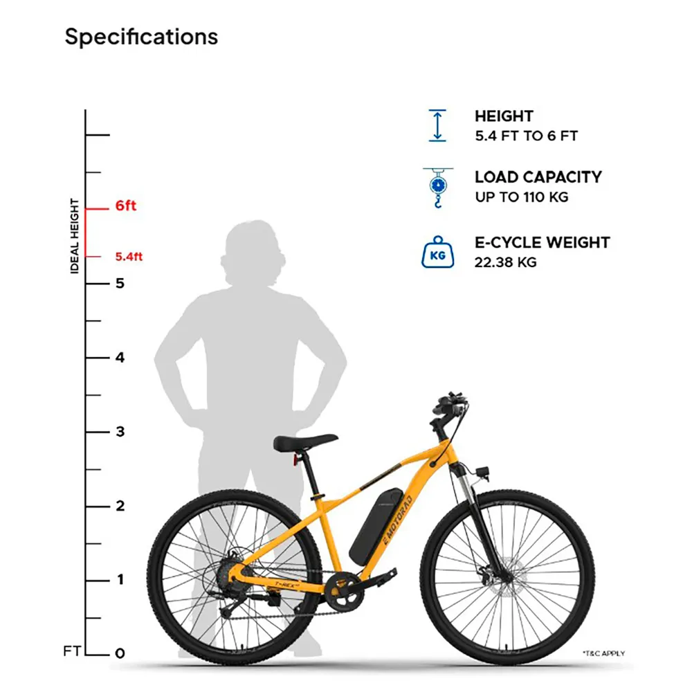 Emotorad T Rex Elektrofahrrad Emotorad T Rex Elektrofahrrad