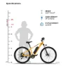 Emotorad T Rex Elektrofahrrad