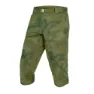 Tonal olive