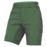 Machair green