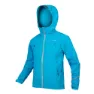 Electric blue 2