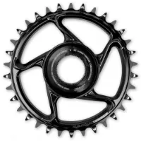 e*thirteen E-bike Dm Bosch Cx Kettenblatt e*thirteen E-bike Dm Bosch Cx Kettenblatt