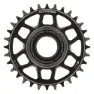 e*thirteen Helix Core Tq Hpr50 Dm 21.5mm Offset Kettenblatt, Black, 32t