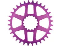 e*thirteen Helix R Guidering Direct Mount Kettenblatt e*thirteen Helix R Guidering Direct Mount Kettenblatt
