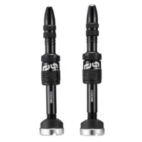 e*thirteen Quick Fill Bosch Tubeless Ventile 2 Einheiten e*thirteen Quick Fill Bosch Tubeless Ventile 2 Einheiten