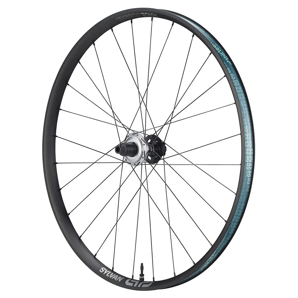 e*thirteen Sylvan Sidekick/race 29´´ Am Disc 6b Mtb Hinterrad, Black, 12 x 148mm, Sram XDR e*thirteen Sylvan Sidekick/race 29´´ Am Disc 6b Mtb Hinterrad, Black, 12 x 148mm, Sram XDR
