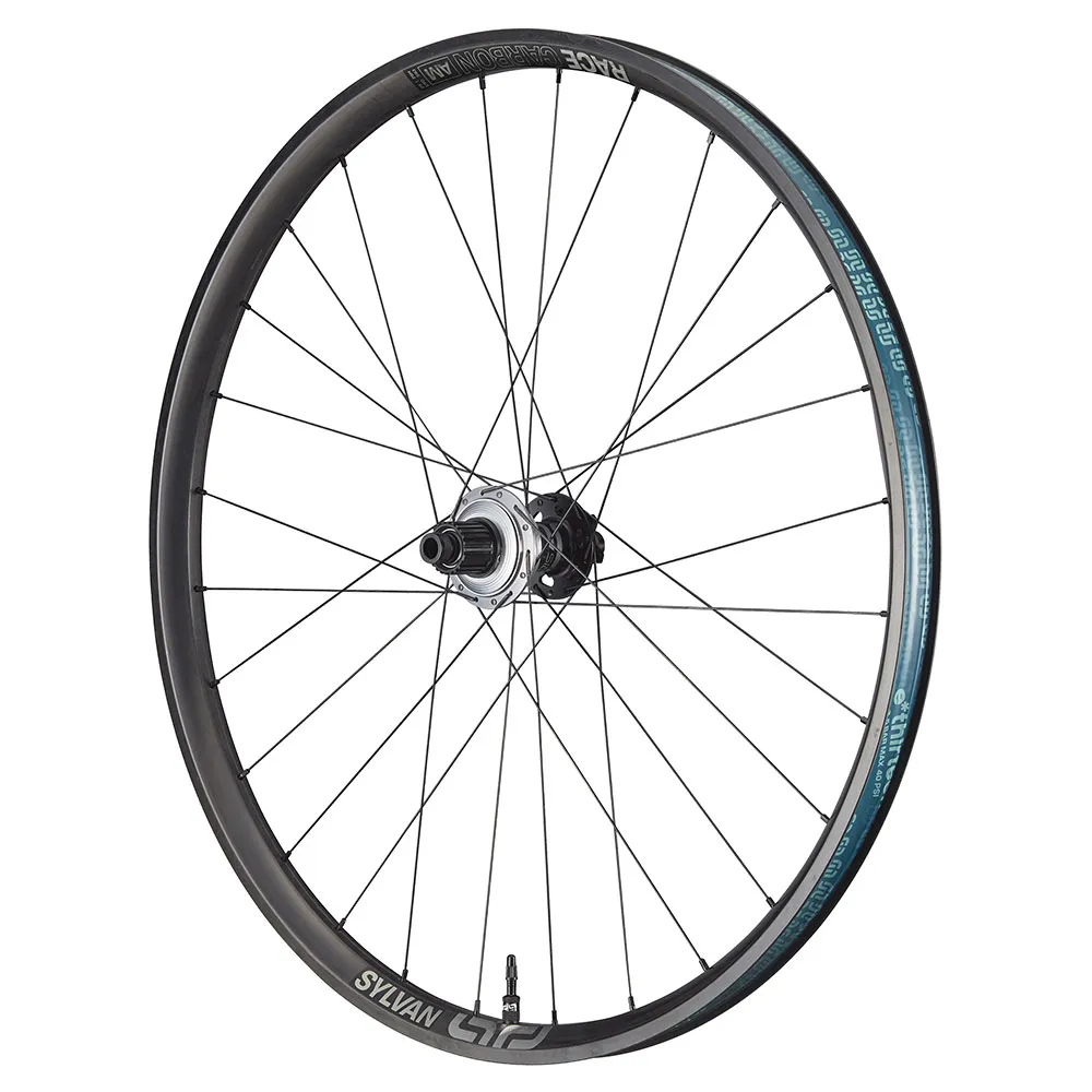 e*thirteen Sylvan Sidekick/race 29´´ Carbon Am Disc 6b Mtb Hinterrad, Black, 12 x 148mm, Sram XDR e*thirteen Sylvan Sidekick/race 29´´ Carbon Am Disc 6b Mtb Hinterrad, Black, 12 x 148mm, Sram XDR