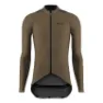 Brown 1