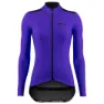 Purple violet 1