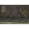 Fairdale Ridgemont Microshift Rd 2023 Fahrrad