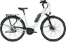 Falter E 9.0 RT 500 titanium, glossy 28" 500 Wh Wave
