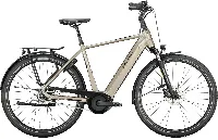 Falter E 9.4 RT sublime grey, glossy 28" 500 Wh Diamant Falter E 9.4 RT sublime grey, glossy 28" 500 Wh Diamant