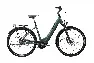 Falter E 9.5 FL dark green, matt 2022 28" 500 Wh Wave, Dunkelgrün, 45cm