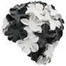 Black / white