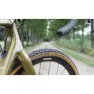 FFWD Drift Fcc Cl Disc Tubeless Gravel-laufradsatz, Black, 12 x 100 / 12 x 142mm, Campagnolo