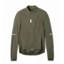 Olive 1
