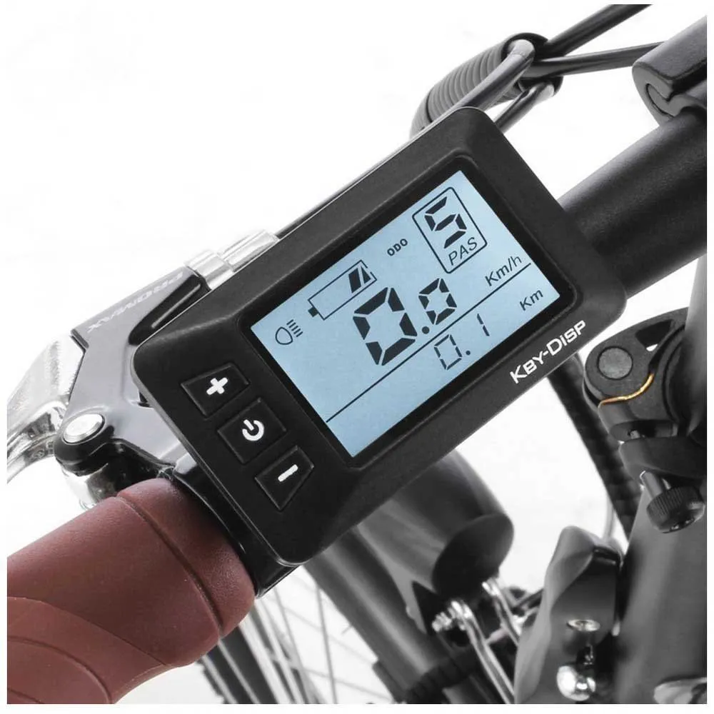Fischer Bikes Faltrad Fr 18 Elektrofahrrad, Matte black, One Size, 317Wh Fischer Bikes Faltrad Fr 18 Elektrofahrrad, Matte black, One Size, 317Wh