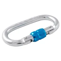 Fixe Climbing Gear Steel Screw Gate Adur Karabinerhaken 20 Einheiten Fixe Climbing Gear Steel Screw Gate Adur Karabinerhaken 20 Einheiten